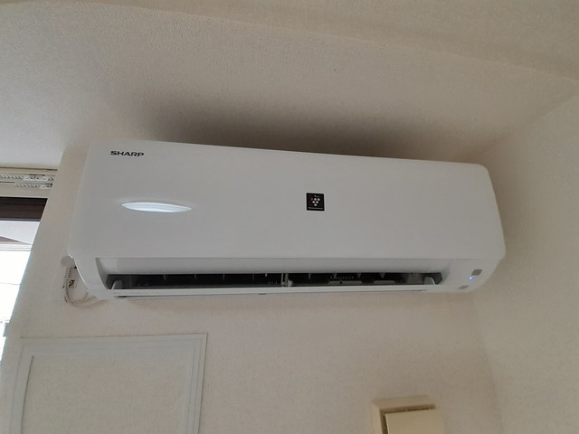 フェリス　ウィステリア その他1