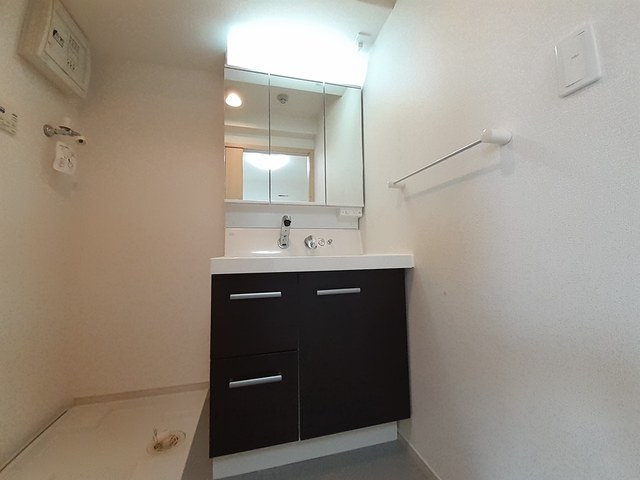 フェリス　ウィステリア その他3