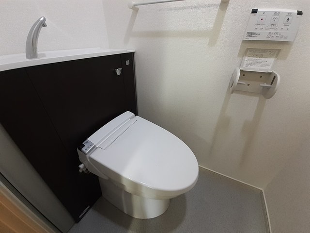 フェリス　ウィステリア その他4