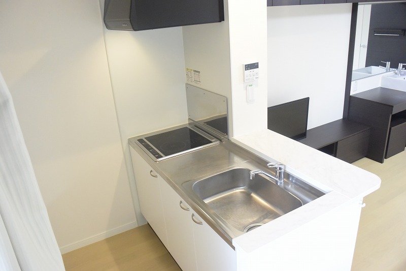 レオネクストリバーサイドⅠ キッチン