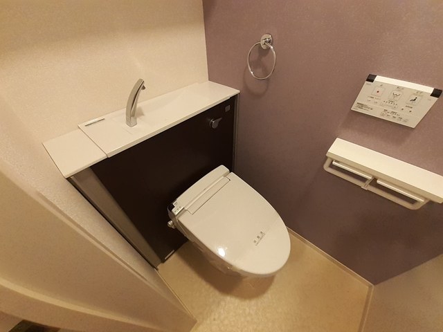 プラシード その他4