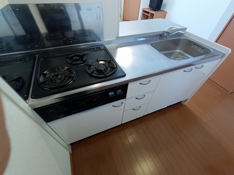 レオパレス島之内 その他10