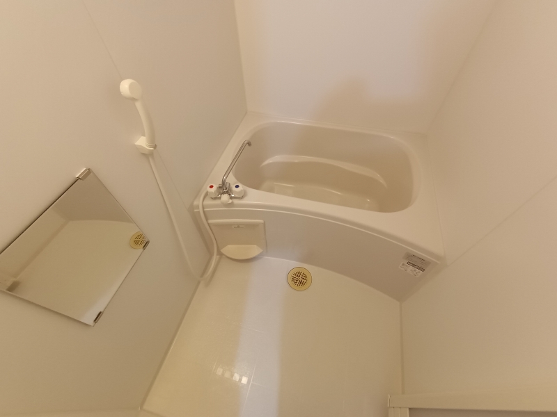 レオパレス島之内 風呂画像