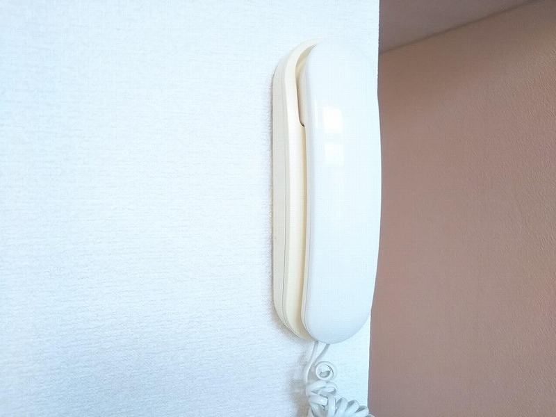 レオパレスフェリスⅡ その他18