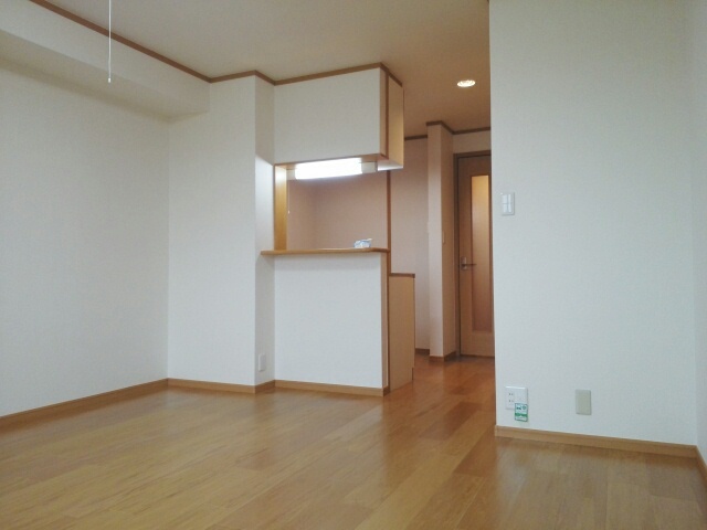 ジン　シャン その他3