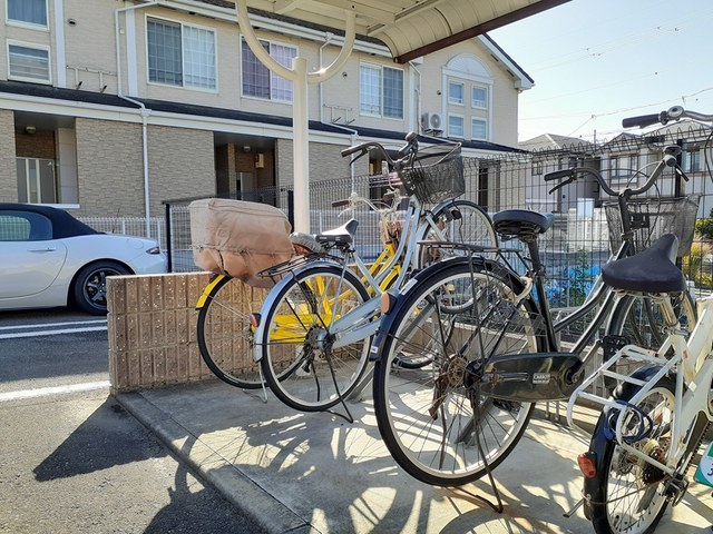 ジン　シャン その他6