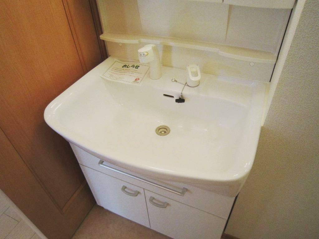 フラン・ラフレシールⅠ その他2