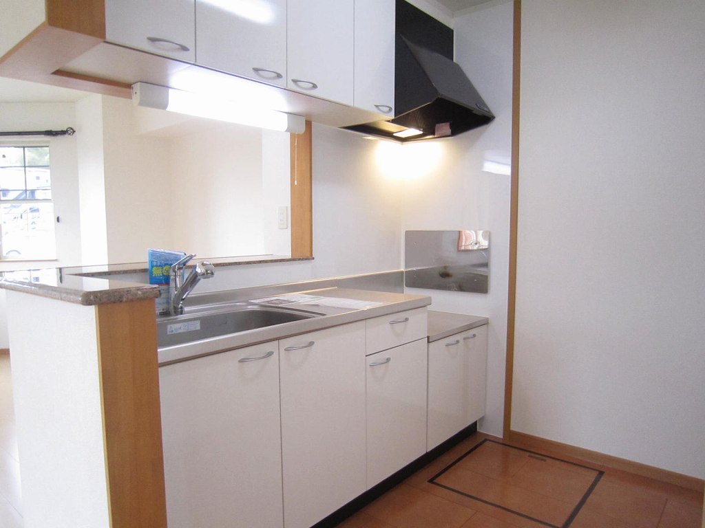 フラン・ラフレシールⅠ その他7