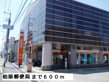 セレノ　アロッジオⅡ その他外観5