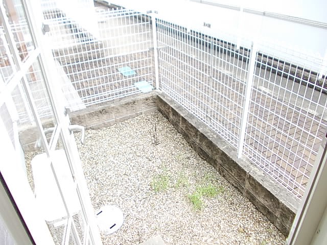 ドゥー　ジャン その他4