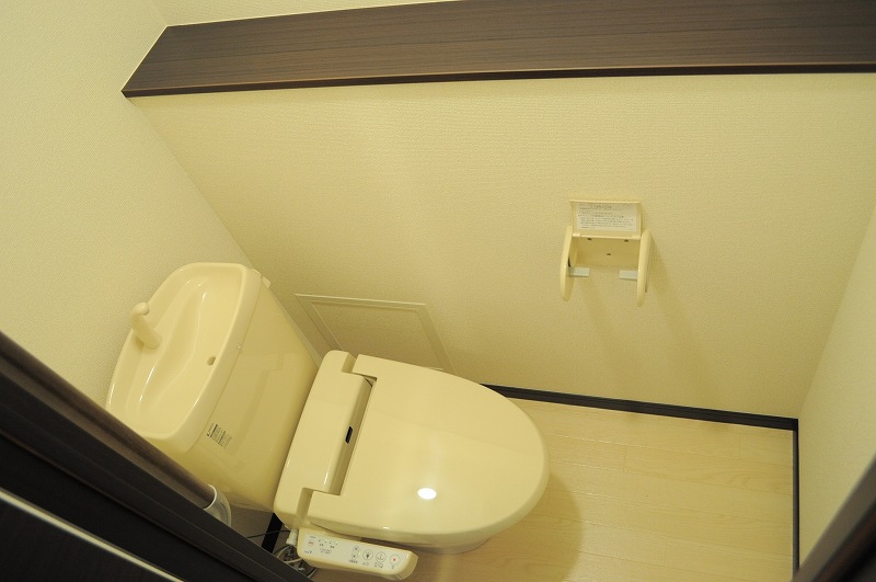 レオネクストファレノプシス上野 その他3