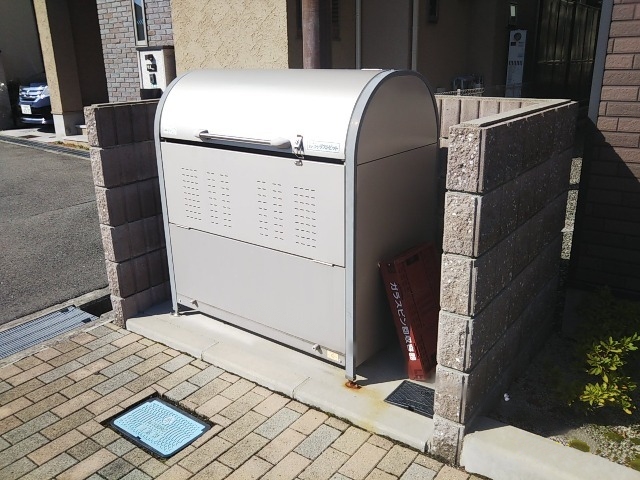 レオネクストファレノプシス上野 その他5