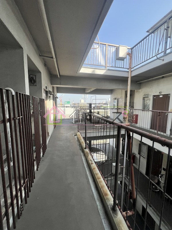 メゾン阪南 その他外観3