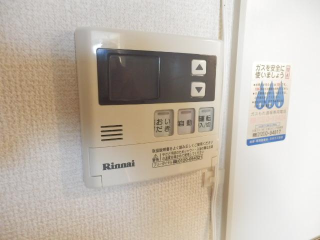 レオネクストフォルテシモ その他11