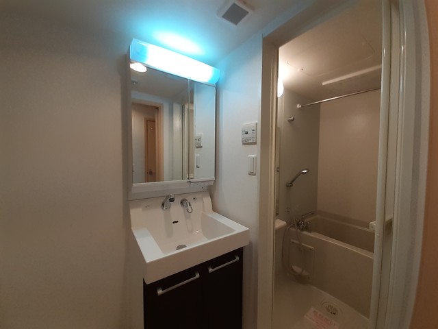 プログレＮ&amp;gamma; その他2