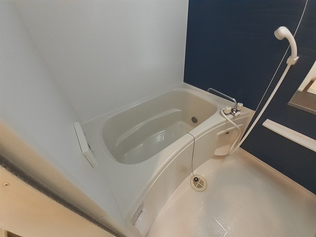 トレ　ミ　カーサ星の森 風呂画像