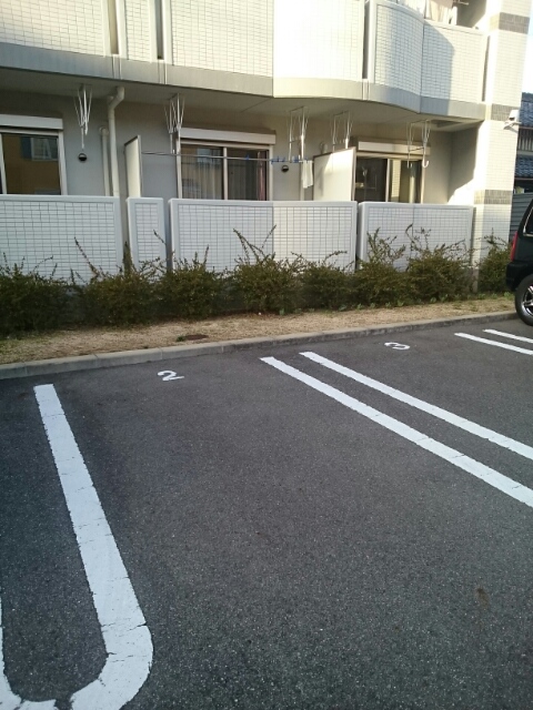 プラティークヌーヴォー その他6