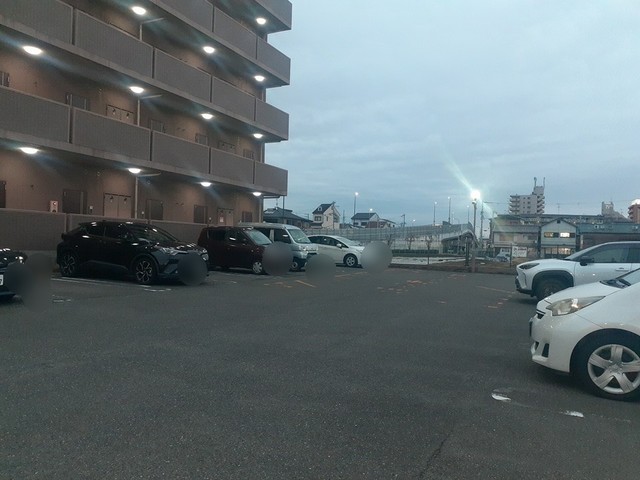 ドマ－ニ その他5