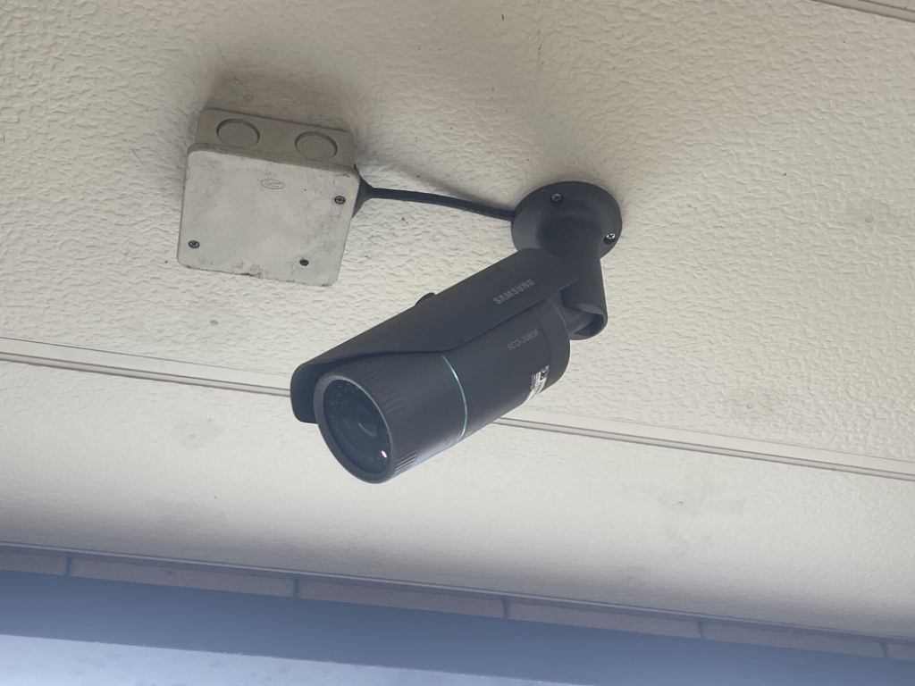 レオネクスト杉 その他9