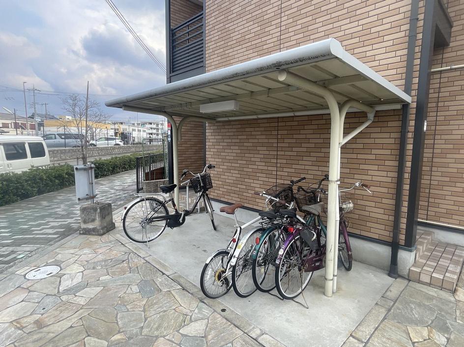 レオネクスト杉 その他11