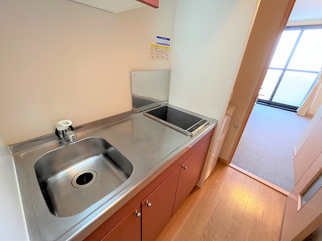 レオパレスフォンターナ大宮 その他10