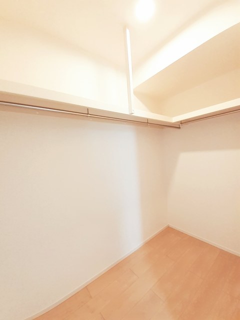 カンファーツリーＣ その他3