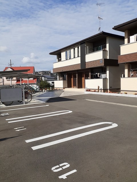 カンファーツリーＣ その他5