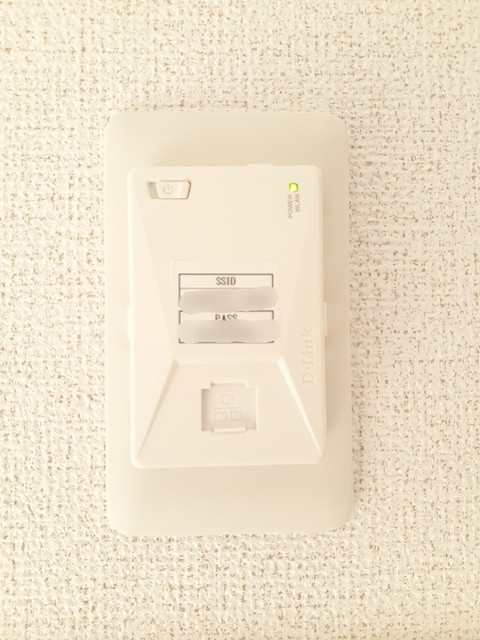 カンファーツリーＣ その他7