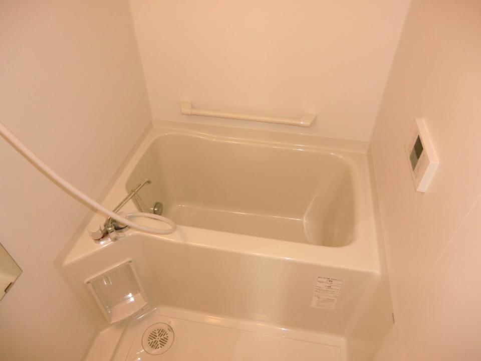 レオネクスト常光寺 その他11