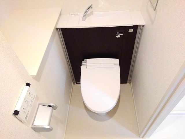 カメリア　Ｙ その他4