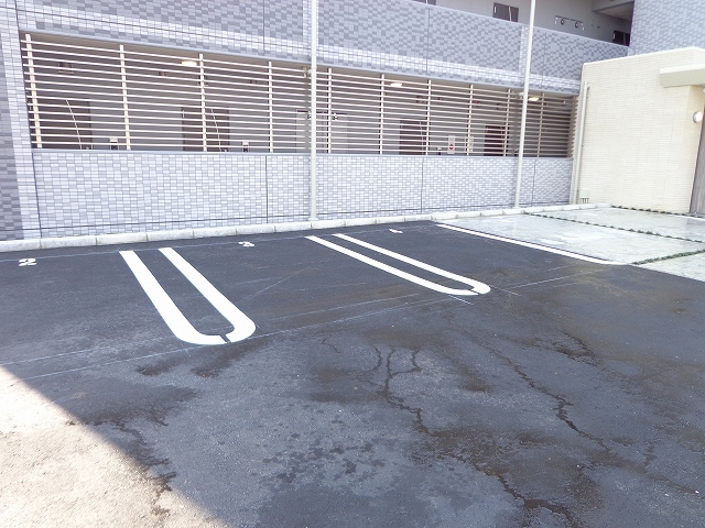 カメリア　Ｙ その他5