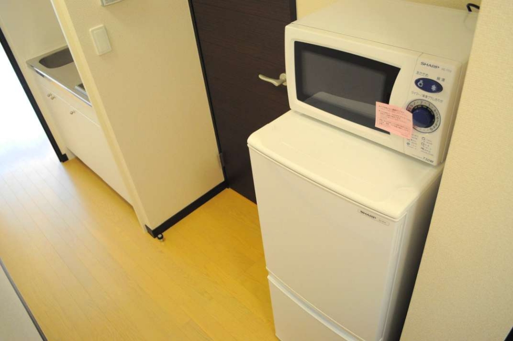 レオネクストうねの その他10