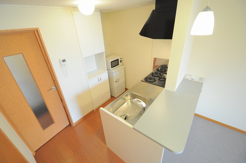 レオパレスプロスペラー新 その他10