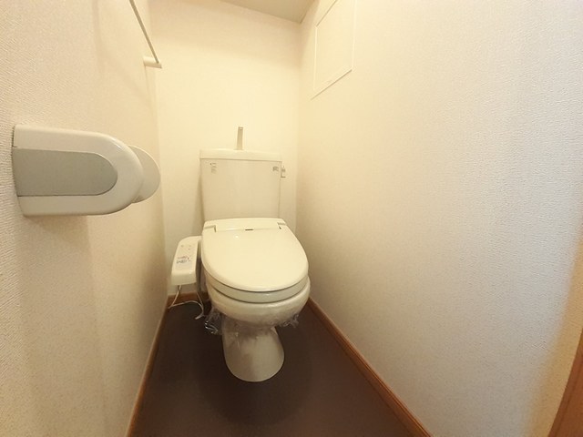 サザン　クロス その他5