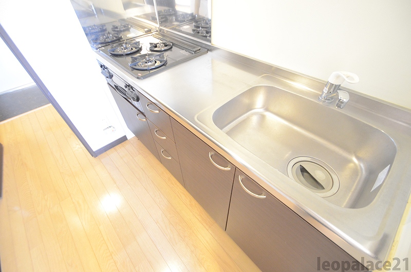 レオネクストグランドゥール　Ｓ キッチン