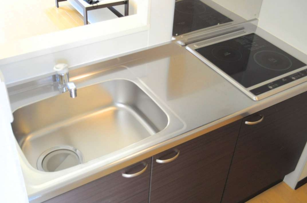 レオネクストサン その他11