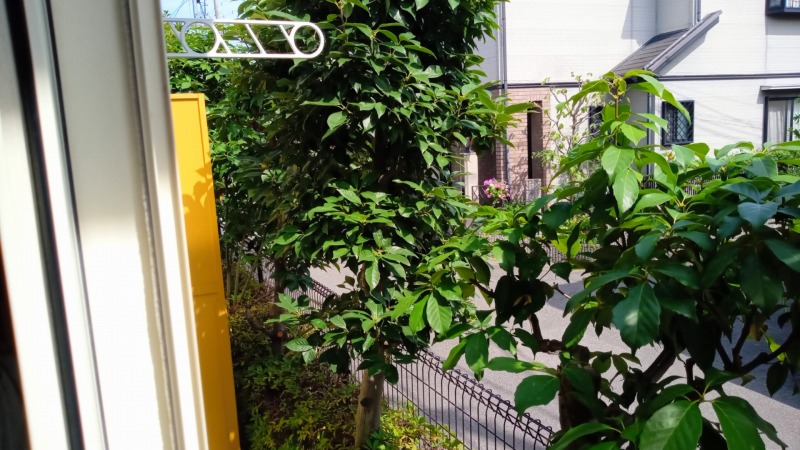 レオパレス上野西清風 その他14