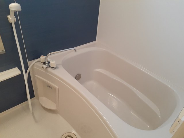 プラシード・カーサ その他1