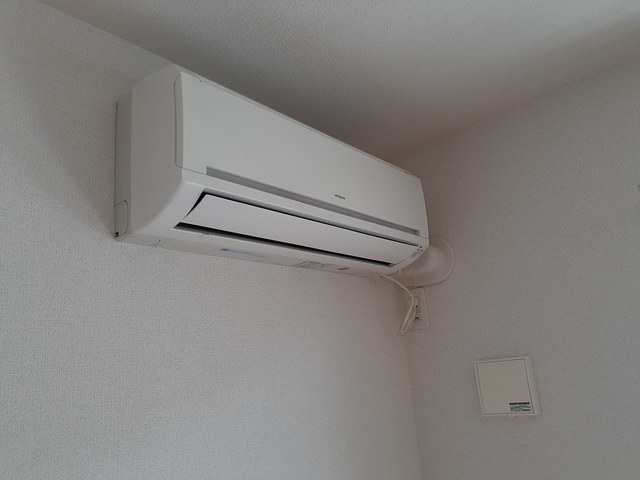 プラシード・カーサ その他2