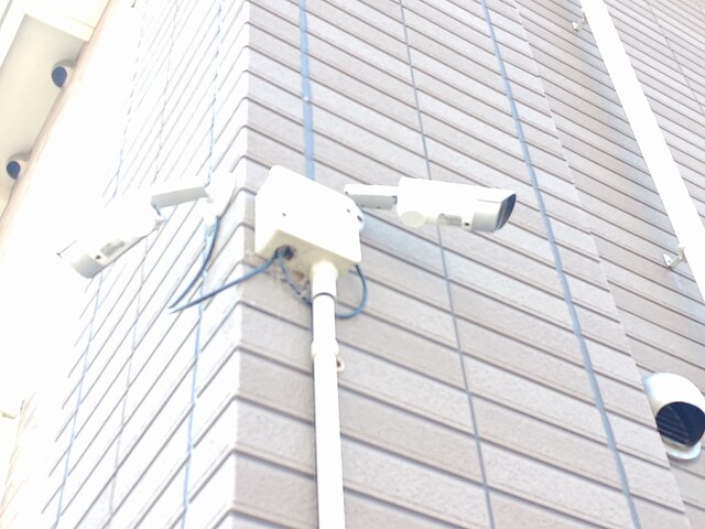 プラシード・カーサ その他7