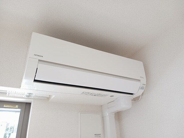 グラシアス その他1