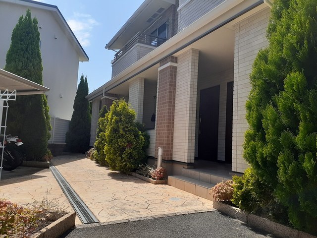 プリムローズ・Ｔ その他5