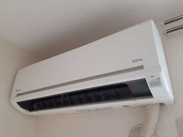 フロレスタ・フジ その他3