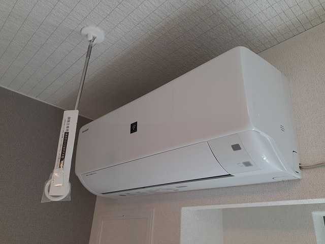 カーサ・ヴェルデ　梶 その他6