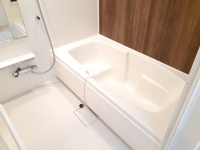 ヴィアーレⅡ 風呂画像