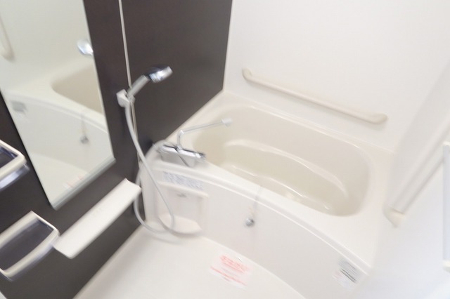 ベクエムハウゼ 風呂画像