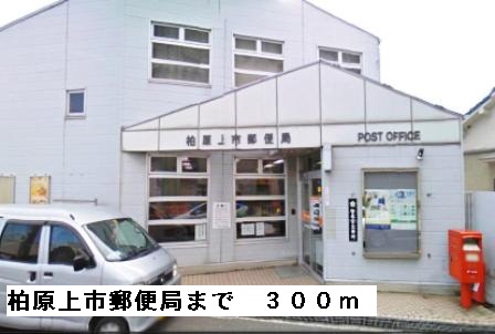 ドリームハウス その他外観6