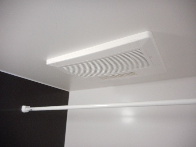 セレーナ その他3