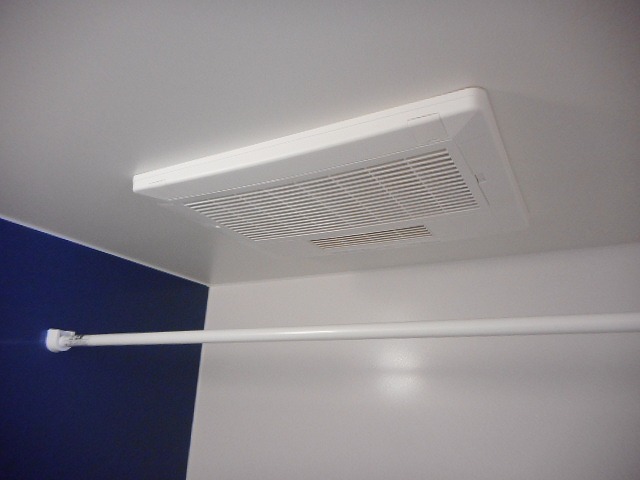 セレーナ その他3