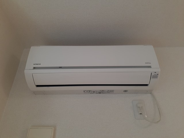 Ｓａｒｒｙ　Ｂｅｌｌｅ その他3